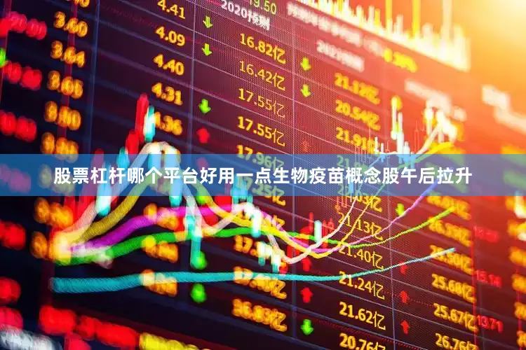 股票杠杆哪个平台好用一点生物疫苗概念股午后拉升