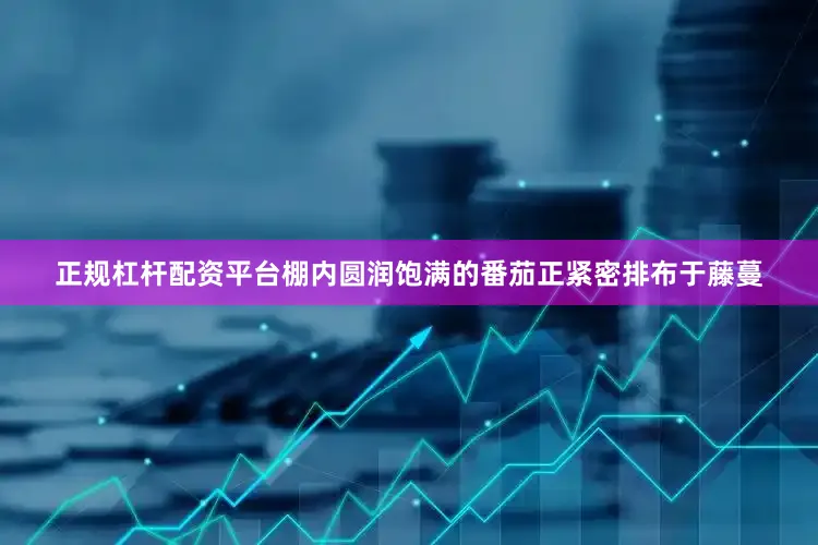 正规杠杆配资平台棚内圆润饱满的番茄正紧密排布于藤蔓