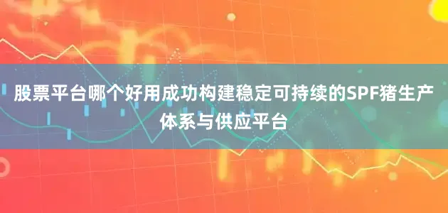 股票平台哪个好用成功构建稳定可持续的SPF猪生产体系与供应平台