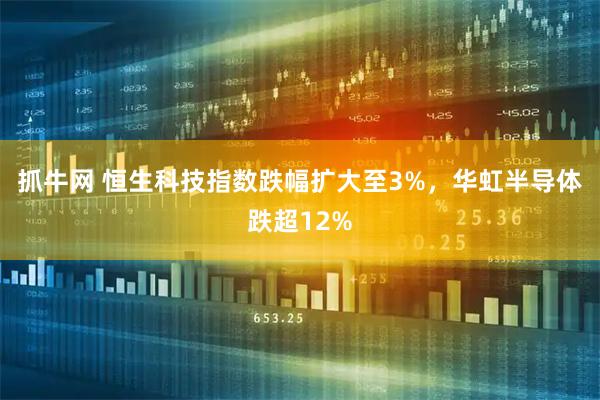抓牛网 恒生科技指数跌幅扩大至3%，华虹半导体跌超12%